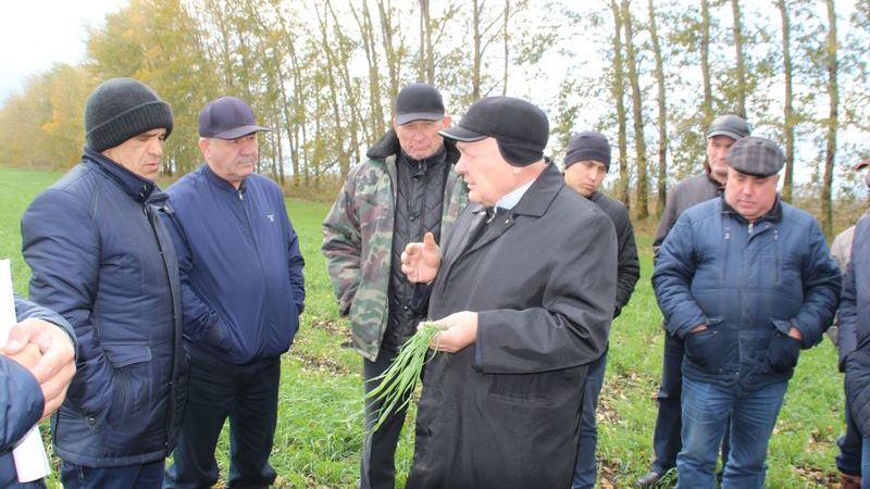 Погода в поисево на неделю